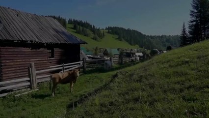 Daily activities in the village, transparent water in river