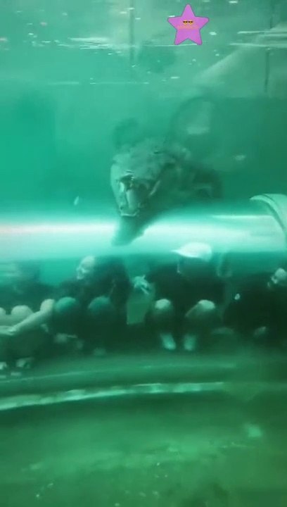 Thriller in water