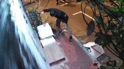 İçinde kedi uyurken yuvayı yumruklayarak parçaladı