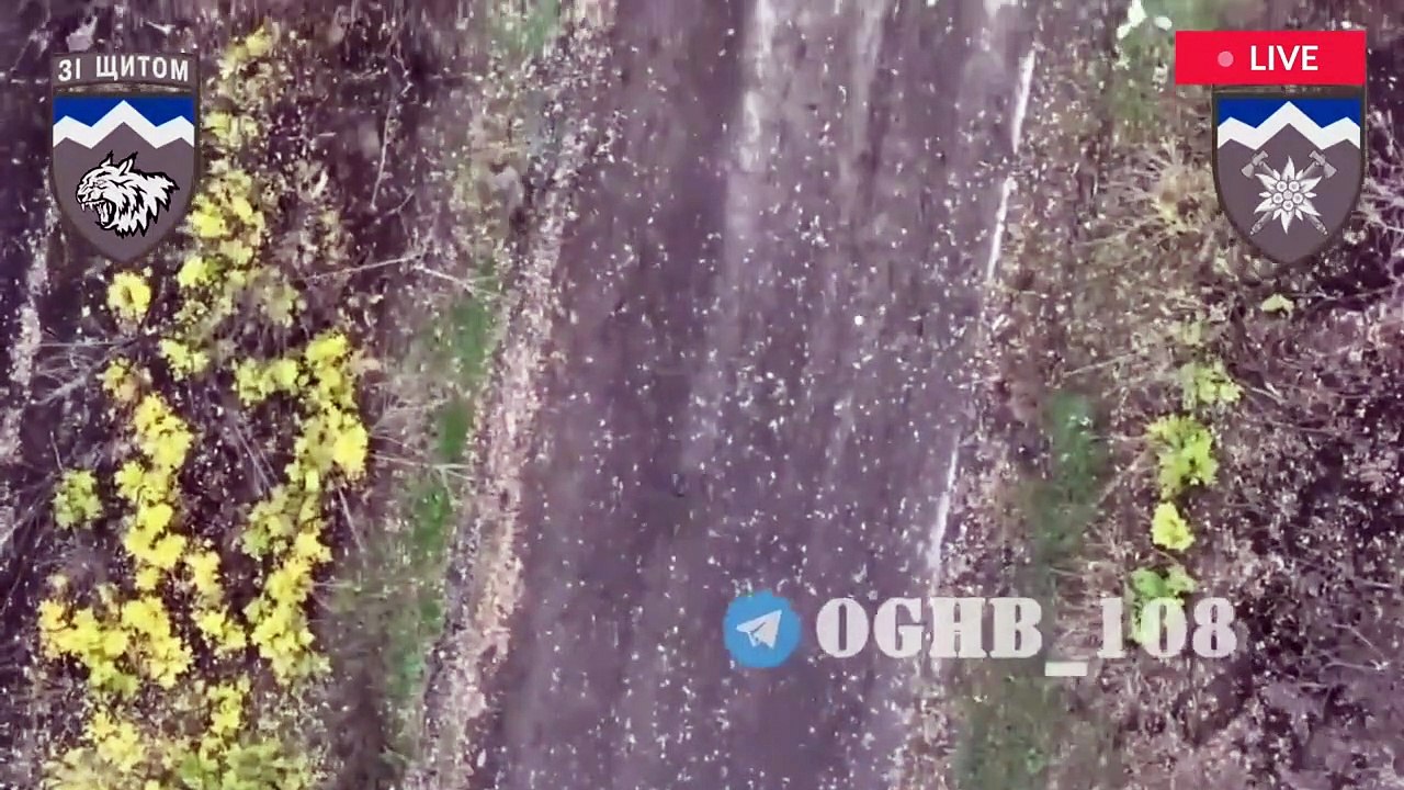 Russian troops plead for help after Putin's latest offensive turns into 'death t