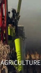 Spelling Practice. Clip No. 43