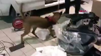 Aracın yedek lastiğinde 6 kilo 465 gram uyuşturucu