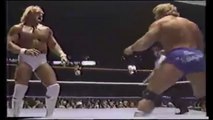 HULK HOGAN VS MR. WONDERFUL full match