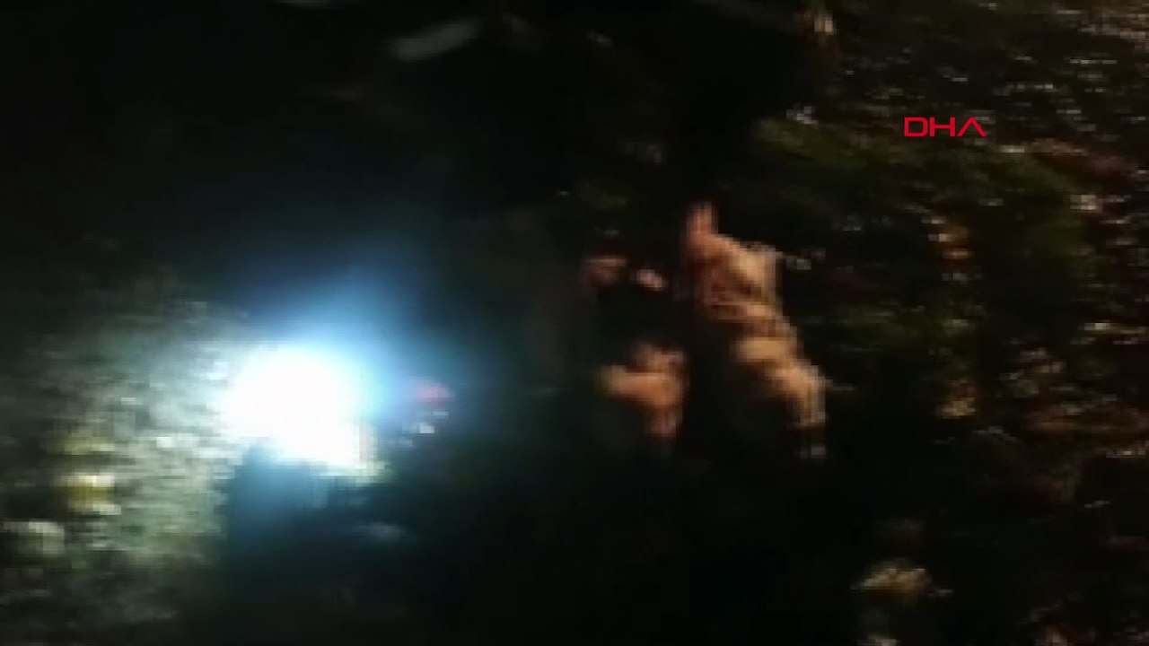 Anne köpek, kanala düşen yavrularının kurtarılmasını bekledi