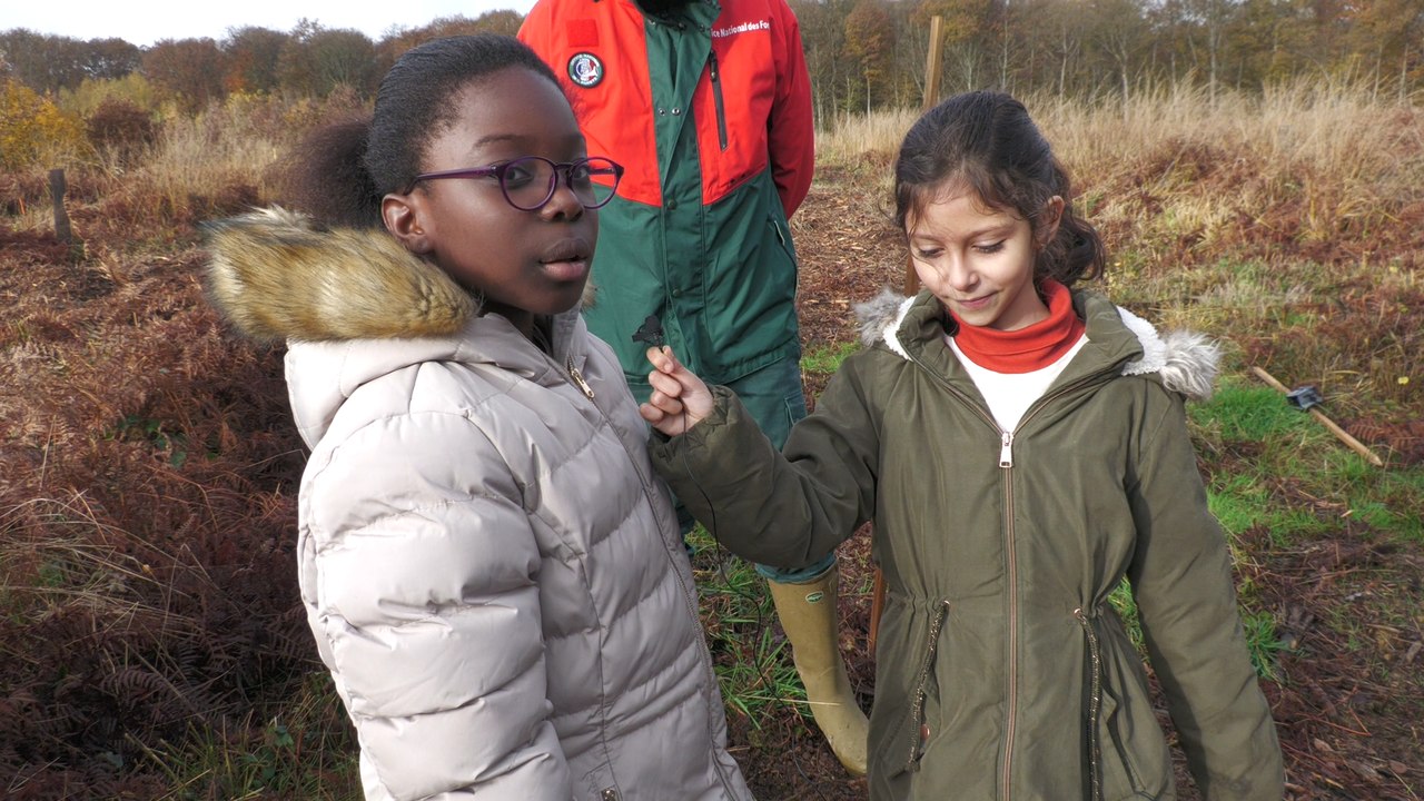 France Bleu Auxerre s'engage pour nos arbres et nos forêts