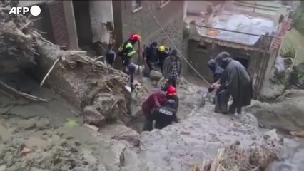 L'Isola Verde fragile e consumata anche da abusivismo