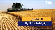 هل الأمن الغذائي المصري بخير؟.. المتحدث باسم الزراعة يجيب ويكشف الخطوات التي اتخذتها الدولة