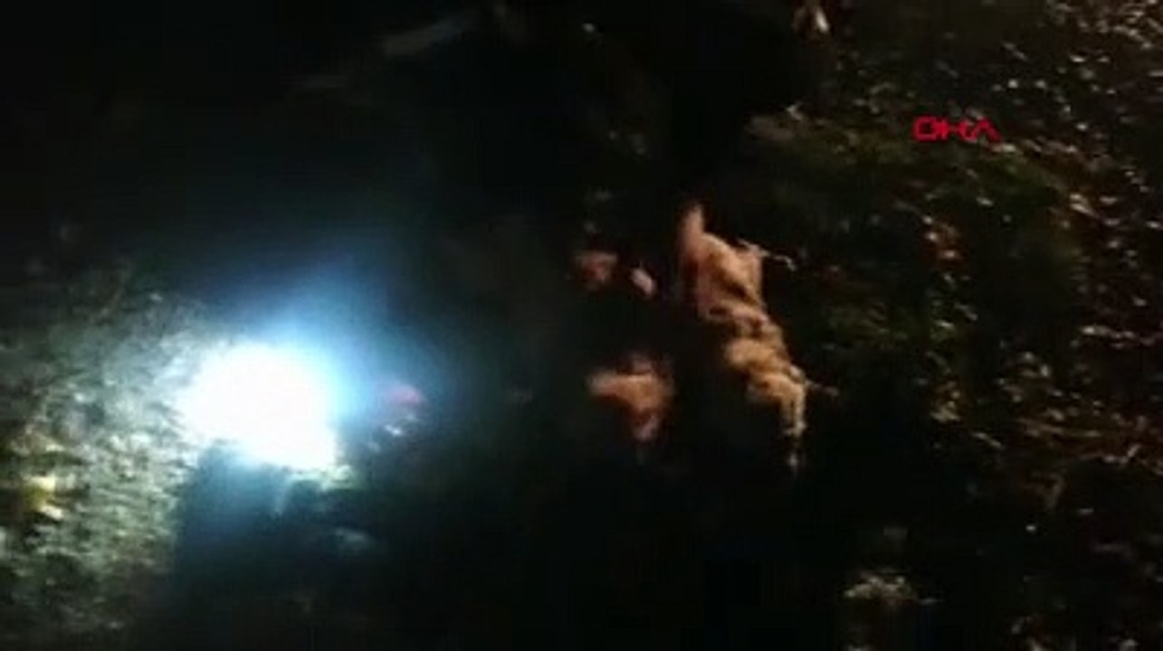 Anne köpek kanala düşen yavrularının kurtarılmasını bekledi