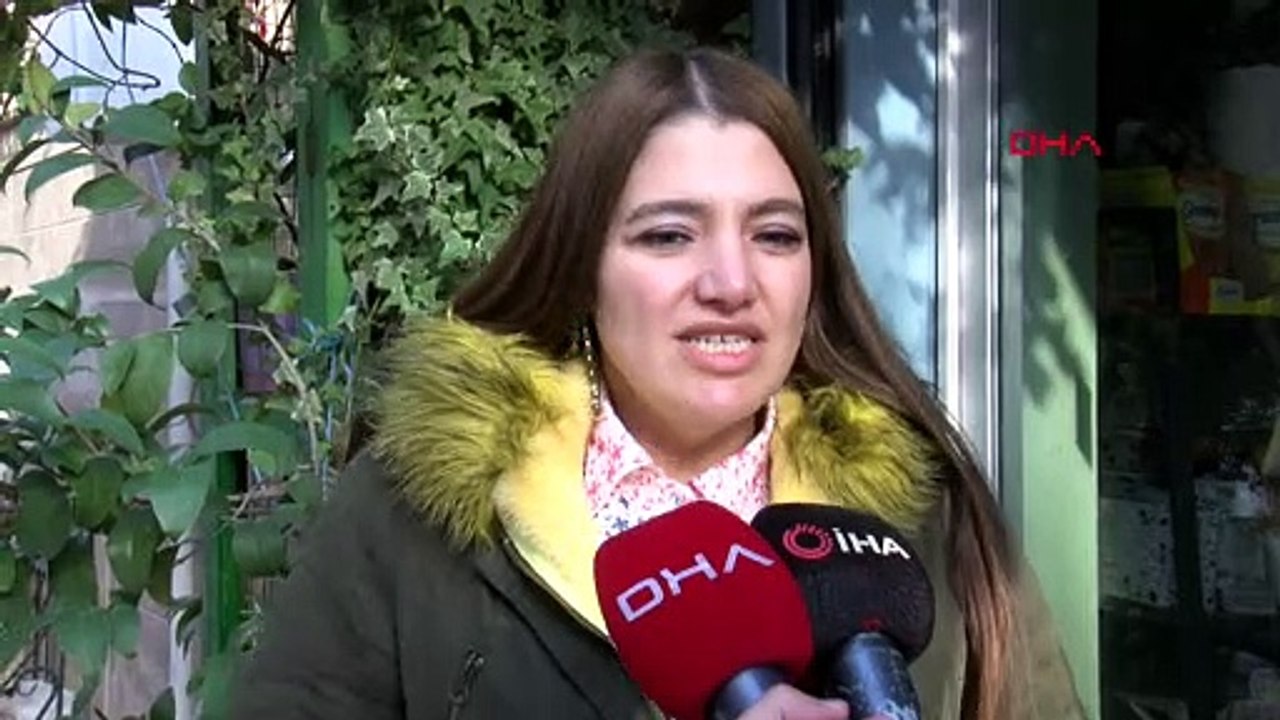 Kedi yuvasını yumruklayarak parçaladı! Uyuyan kedi korku içinde kaçtı