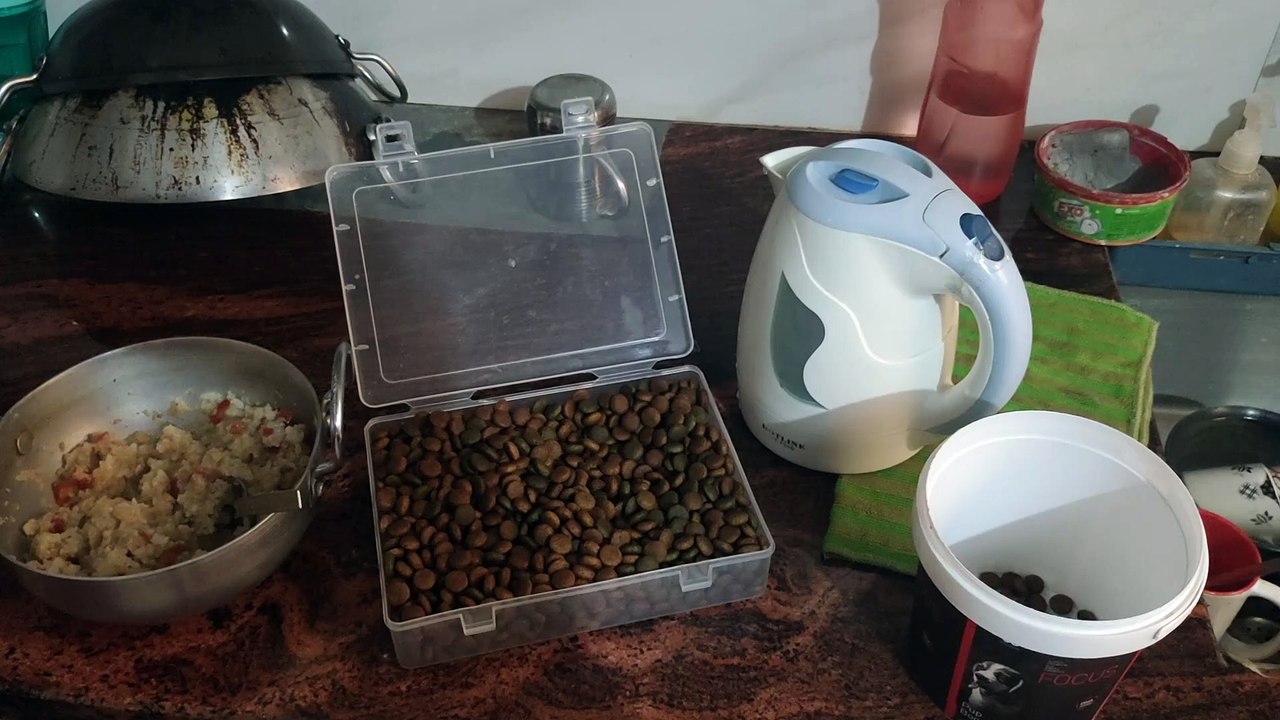 How to make Vegetarian Food for vegetarian Dog  l Vegetarian Food