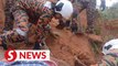 Man killed in Cameron Highlands landslide