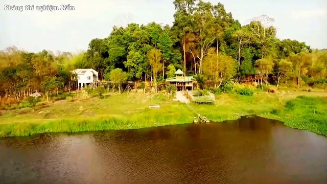 Bàu sấu-Vườn quốc gia Cát Tiên. Crocodile lake one of importance wetlands in Cat tien national park