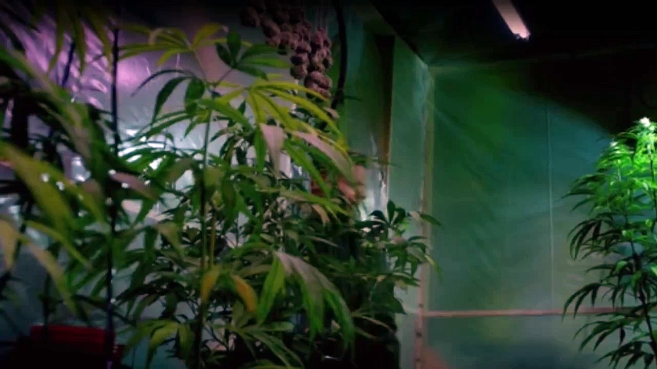 Snatch Staffel 1 Folge 3 HD Deutsch