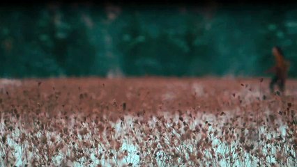 See - Reich der Blinden Staffel 2 Folge 7 - Part 02 HD Deutsch