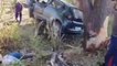 खंडवा ब्रेकिंग : सड़क दुर्घटना में 3 वन कर्मियों की मौत,देखिए कैसे हुआ हादसा