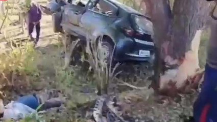 खंडवा ब्रेकिंग : सड़क दुर्घटना में 3 वन कर्मियों की मौत,देखिए कैसे हुआ हादसा