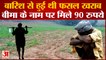 Maharashtra: किसानों को नहीं मिल रही उचित बीमा राशि, मूसलाधार बारिश के चलते हुआ था नुकसान