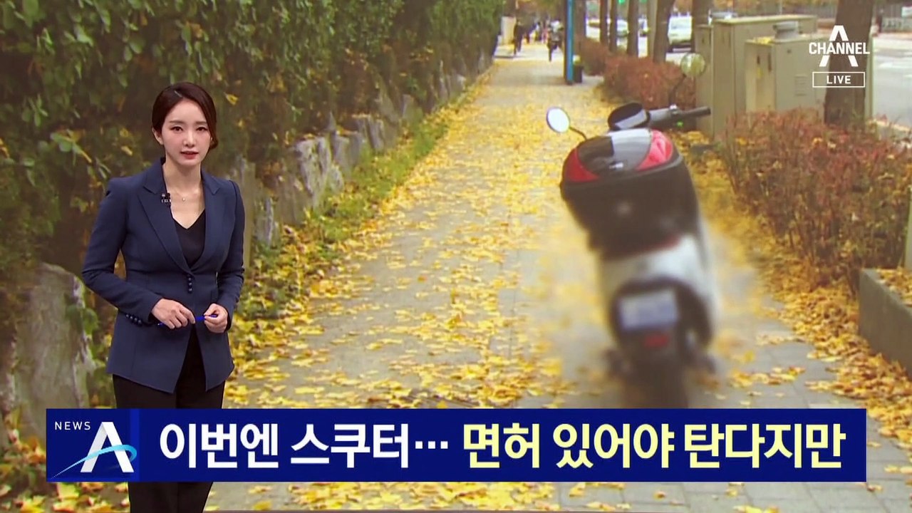 킥보드 이어 이번엔 공유 스쿠터…면허 있어야 탄다지만