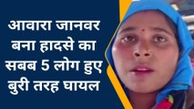 सीतापुर: आवारा जानवर से टकराई बाइक,पांच घायल