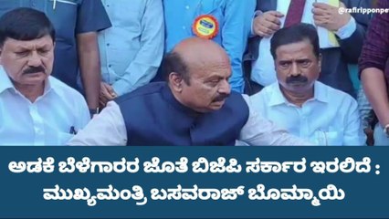 ಅಡಕೆ ಬೆಳೆಗಾರರ ಜೊತೆ ಬಿಜೆಪಿ ಸರ್ಕಾರ ಇರಲಿದೆ : ಸಿಎಂ ಬಸವರಾಜ್ ಬೊಮ್ಮಾಯಿ