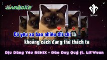 KARAOKE - DIU DÀNG YÊU REMIX