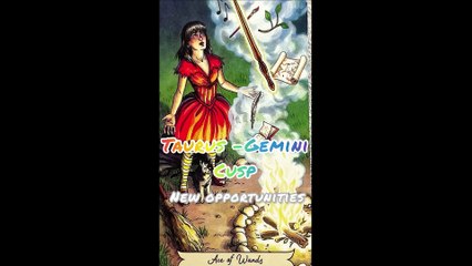 TAURUS GEMINI CUSP | NEW OPPORTUNITIES