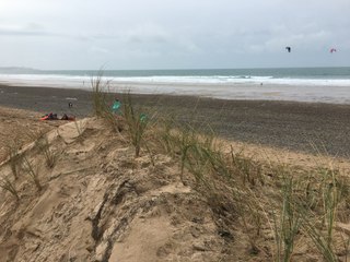 Ils plantent des oyats pour préserver les dunes de Biville, dans La Hague