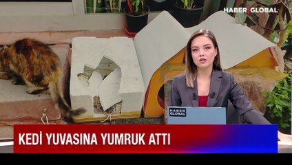 Konya'daki katliamın ardından, tepki çeken görüntü: Kediye yumruk attı
