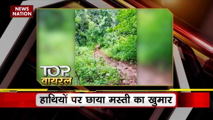 Viral Videos : देखिए सोशल मीडिया पर वायरल वीडियो का Countdown | Top viral video |