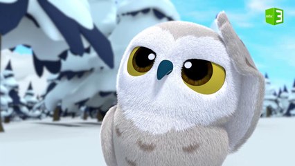 بومة ثلجية يغلب عليها النوم والسبب.. 