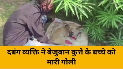 लखनऊ: कुत्ते का बच्चा भौंका तो &#039;अंकल&#039; को गुजरा नागवार,मार दी गोली