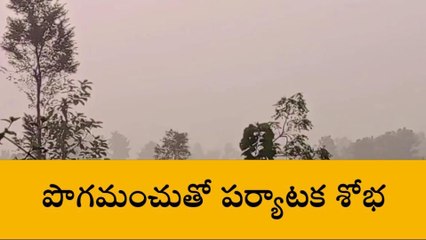 బొబ్బిలి: లంబసింగిని తలపిస్తున్న మంచు అందాలు