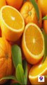 Santra Khane Ke Fayde | संतरा खाने के फायदे और नुकसान | Orange Benefits |  सर्दियों में संतरा खाने के फायदे। santra khane ke fayde ll santra khane se kya hota hai.