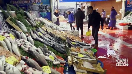 İstanbul'da hangi balık bol, fiyatlar nasıl?