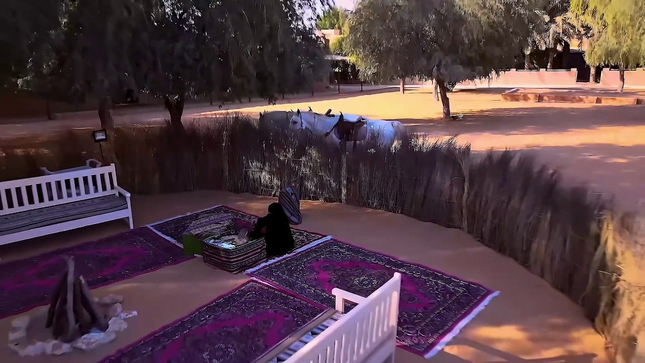 Hot air balloons, air taxi tours: Sheikh Mohammed announces 100km scenic route for Dubai's countryside