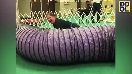 TRY NOT TO LAUGH FUNNY DOG TRAINING FAILS VIDEOS 2022 #4