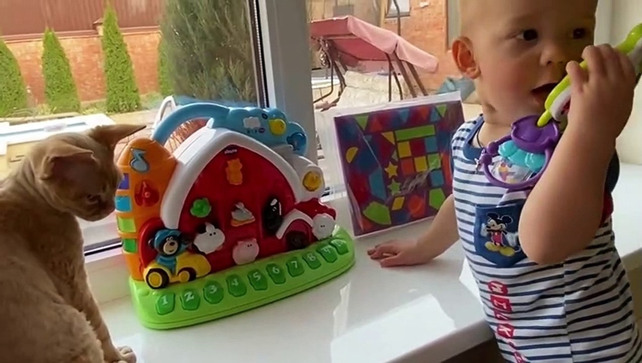 Amazing naturel animals and cute baby dogs 2022 #dogs #cats #animals #cute animals