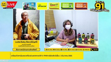 เตรียมตัวพาน้องหมาเที่ยวช่วงเทศกาล EP.3 : FM91 คลินิกสัตว์เลี้ยง : 3 ธันวาคม 2565