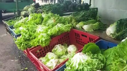 Download Video: Feira do Pequeno Produtor movimenta manhã de sábado (03) em Cascavel