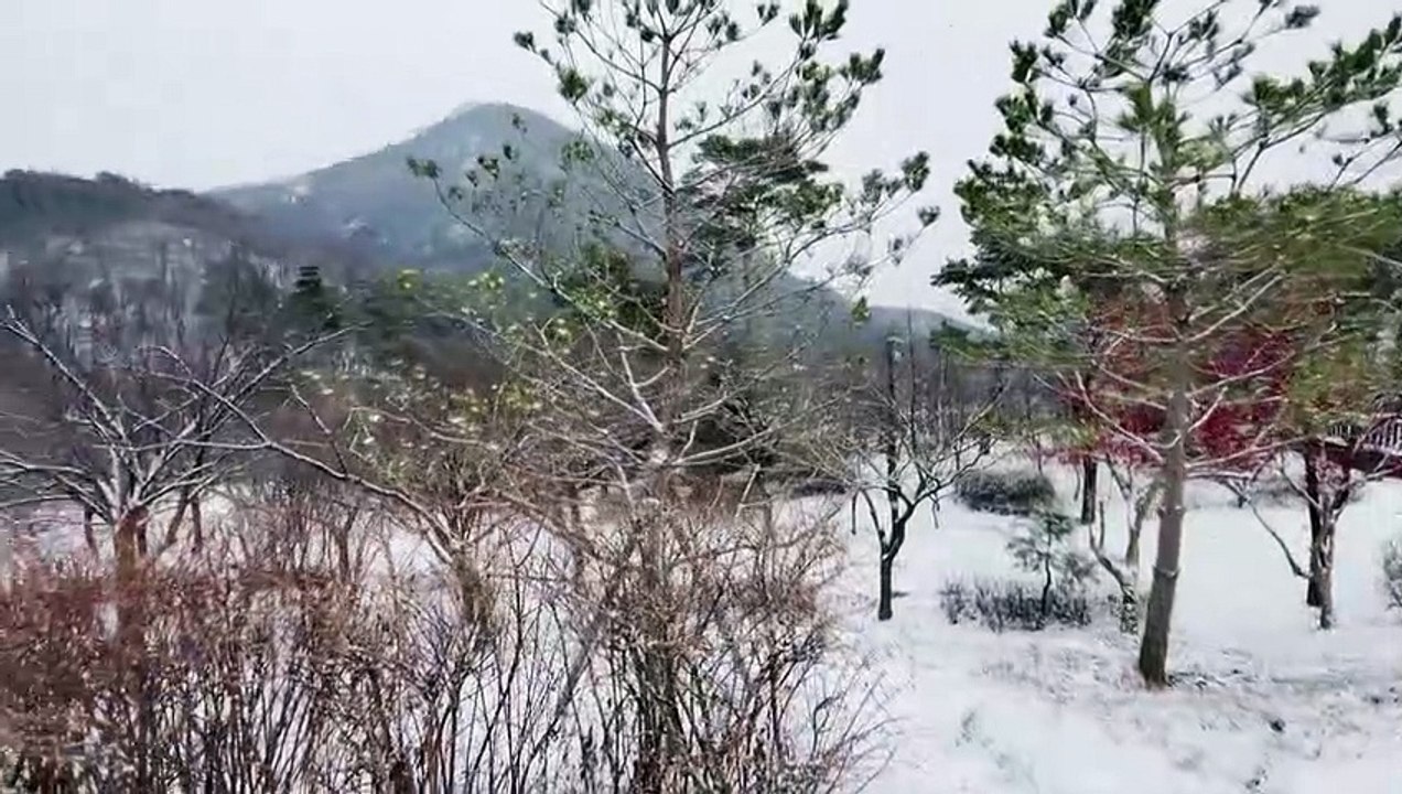 Snowfall in South Korean capital