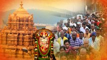 Tirumala: నేరుగా శ్రీవారి దర్శనం - టీటీడీ తాజా నిర్ణయం *Andhrapradesh | Telugu OneIndia