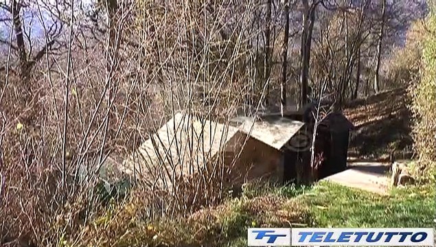 Video News - IL VOLO DEL FALCO PELLEGRINO