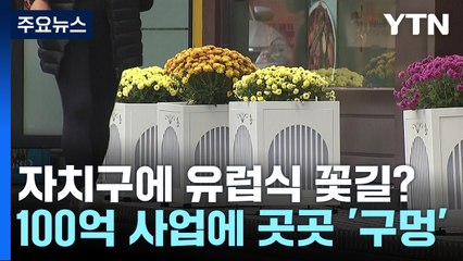 자치구에 유럽식 꽃길 조성?...100억 사업에 '구멍' / YTN
