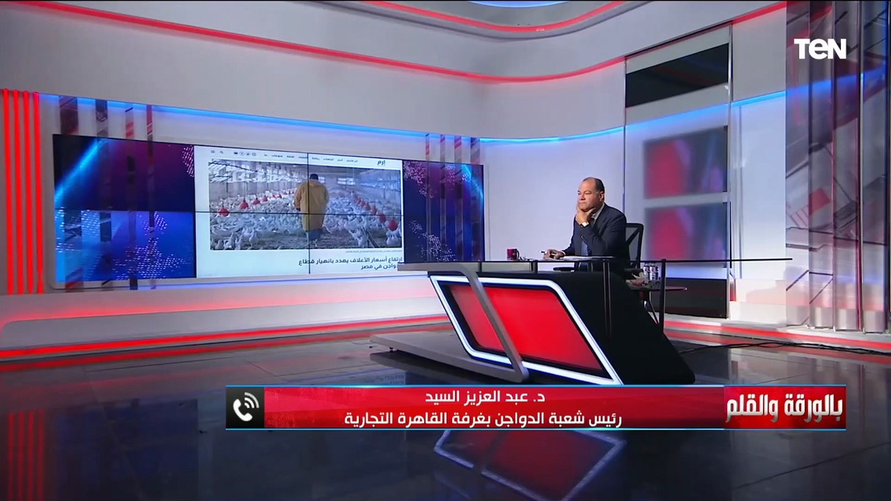 رئيس شعبة الدواجن: ارتفاع الأسعار بسبب وجود كميات كبيرة في الموانئ واستغلال الناس شحية السوق