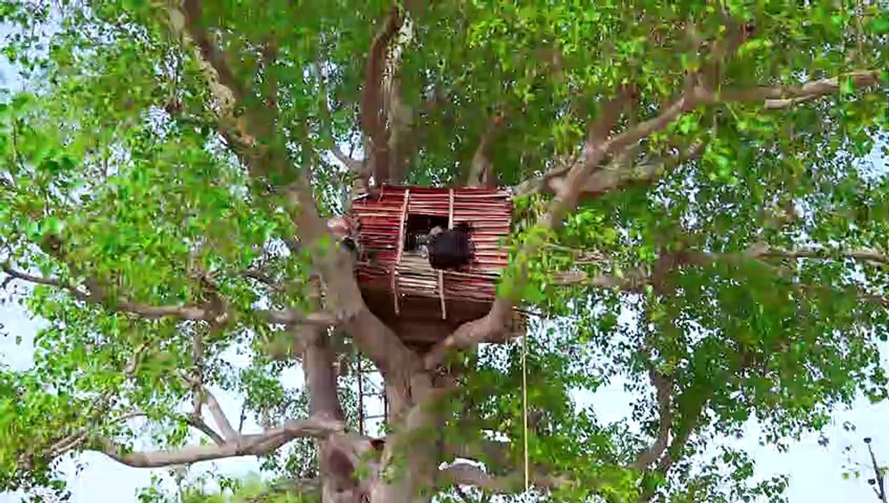 We Made 7 Star Luxury Tree House (With Balcony)- आलिशान घर वो भी पेड़ पे - Tree House Part-2