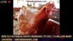 Bird flu outbreak drives Nebraska to cull 1.8 million more chickens - 1breakingnews.com