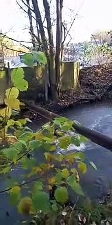 Guy Falls into Freezing Cold Water