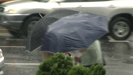 [날씨] 오늘∼내일, 전국 강하고 많은 비...비 그친 뒤 '강력 한파' / YTN