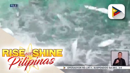 FishCoRe Project, tulong sa ‘poorest of the poor’ ayon sa Malacañang