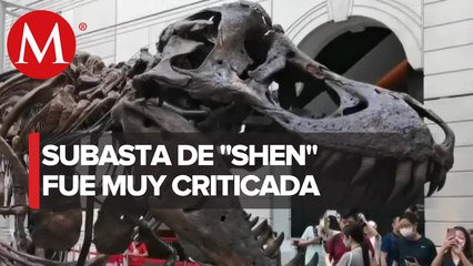 Christie's cancela subasta de un esqueleto de Tiranosaurio rex